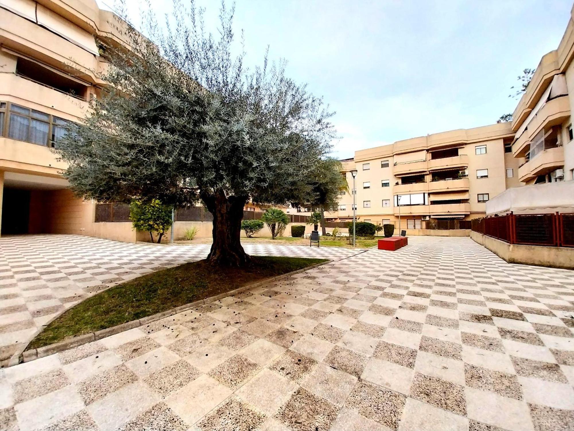 Top Suite Apartment Jerez Jardin Y Patio Χέρεζ Εξωτερικό φωτογραφία