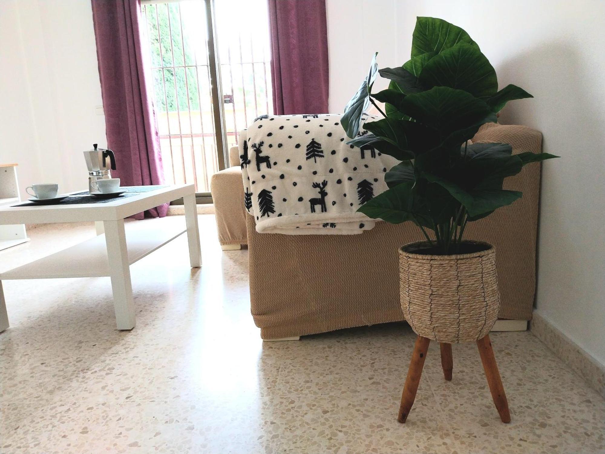 Top Suite Apartment Jerez Jardin Y Patio Χέρεζ Εξωτερικό φωτογραφία
